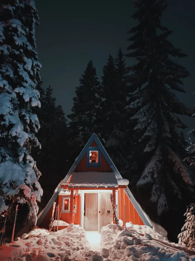 brown wooden house in the middle of forest during night time | An Opened Door | A poem of a wood house