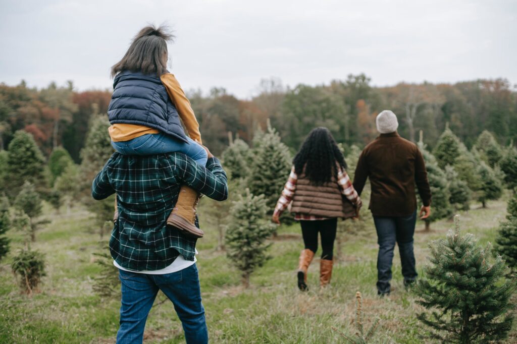 family visiting tree farm and walking among pines. Walking on green grass provides numerous health benefits. I've highlighted a handful of them that are crucial to follow today.