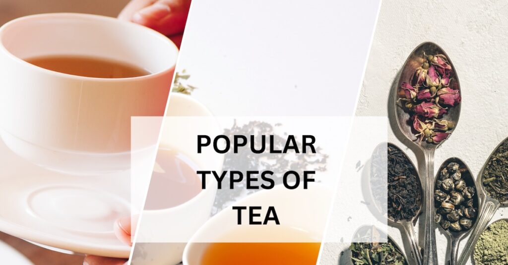 Tea is a popular beverage that comes in various types, each with unique flavors, aromas, and characteristics. The differences in tea varieties stem from factors like processing methods, growing conditions, and the specific parts of the tea plant used.