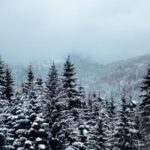 A poetic recollection of childhood memories, blending the quiet beauty of snowfall, the warmth of olive oil, and the nervous excitement of a school bus ride.