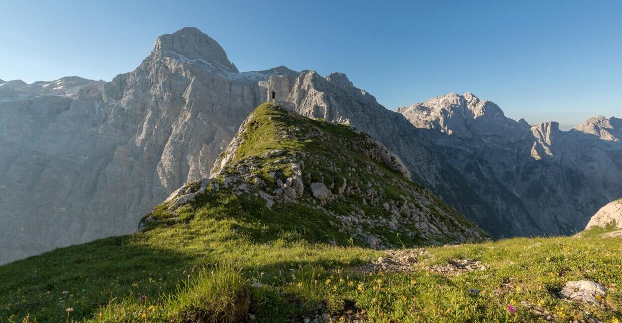 green grass field: A poetic journey from fear to triumph—this metaphor-rich piece explores the climb we all face in life.