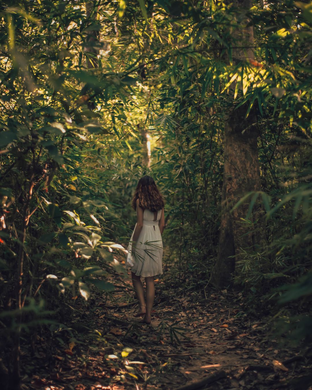 The Woods continue finding peace and escape and the connection reflecting on severed connections and the unexpected solace found in embracing one's own company after a long period of disconnection.