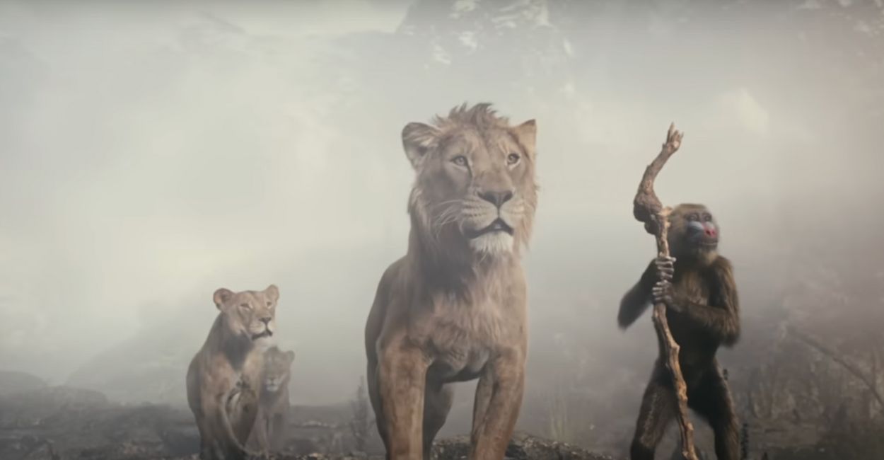 On World Population Day, I spent a relaxing summer evening at Mason Park, watching an outdoor animated movie about Mufasa, Scar, and the wildlife of Africa. From cheesy fries to powerful themes of unity, loyalty, and loss, it was more than just a movie night—it was a reflection on family, identity, and resistance.