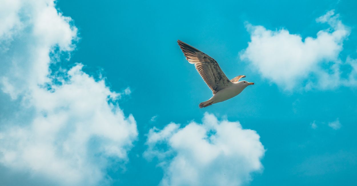 Discover five lyrical modern poems exploring night skies, freedom, rain, and restless memory. A haunting journey through love, silence, and the beauty of souls searching for meaning.