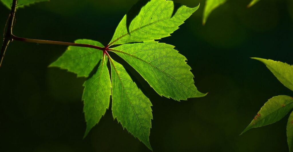 Explore a soulful collection of poems including A Hug Not from Human, I Wish I Could Tell Her, A Pill Called Smile, When Water Is in Glitch, and This Is Life. Each verse captures themes of books as comfort, a mother’s love, resilience through pain, nature’s power, and the choices that shape destiny.