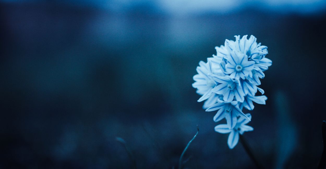 In a world obsessed with speed and productivity, “Prisoners of Hurry” invites readers to pause, breathe, and rediscover the beauty of stillness. This poetic reflection explores how haste steals our peace, our silence, and our connection to life itself — urging us to reclaim time through calm and contemplation.