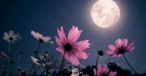 A haunting poetry collection exploring migration, decay, desert loneliness, midnight illusions, and wounded desire through stark, unforgettable imagery.